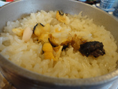 浜幸家: けいちゅるりんさんの2011年02月23日の3枚目の投稿写真