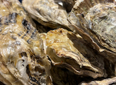 MICHI FISH&OYSTER 大井町店: Yo-sanさんの2024年06月19日の2枚目の投稿写真