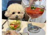 flower&cafe あっとほーむ: ミラノさんの2026年09月07日の1枚目の投稿写真