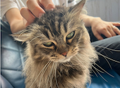 ANIMAL cafe and Bar mofutto: だんごさんの2026年09月13日の2枚目の投稿写真