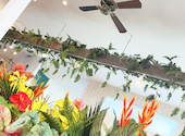ALOHA CAFE Pineapple アロハ カフェ パイナップル 明石店: さささんの2026年09月06日の1枚目の投稿写真