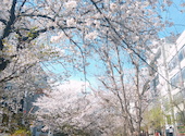 MASTER S DREAM HOUSE マスターズドリームハウス 京都: あけみんさんの2026年04月07日の3枚目の投稿写真