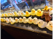 串焼BAL バルーンフラワー 宇都宮: まゆみさんの2026年05月21日の1枚目の投稿写真
