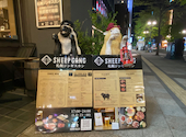 SHEEP GANG シープ ギャング: ももさんの2026年05月08日の1枚目の投稿写真