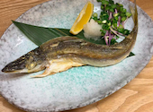 かすみ屋: 鯉魚さんの2026年05月13日の1枚目の投稿写真