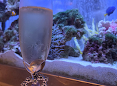 アクアリウムレストラン Nautilus ノーチラス 上野: らすたまんさんの2026年08月12日の2枚目の投稿写真