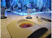 アクアリウムレストラン Nautilus ノーチラス 上野: Hikaruさんの2024年11月27日の1枚目の投稿写真