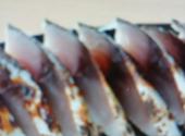 魚民 結城店: kazuさんの2026年05月06日の1枚目の投稿写真