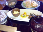 野土花: ミッキーさんの2009年01月28日の3枚目の投稿写真