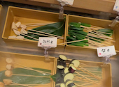 串家物語 天王寺MIO店: うぃしゅめるさんの2026年04月10日の1枚目の投稿写真