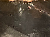 宮（MIYA）　鉄板生サムギョプサル＆食べ放題＆韓国料理　新大久保本店: sisisisiさんの2026年05月01日の2枚目の投稿写真