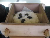 上七軒 くろすけ: kaoriさんの2007年12月06日の3枚目の投稿写真