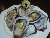 道東の狼 新鮮組: dekonekoさんの2012年01月11日の1枚目の投稿写真