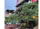 THE CALIF KITCHEN 沖縄店: サーターアンダギーさんの2025年03月31日の2枚目の投稿写真