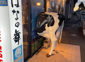 はなの舞　那須塩原駅西口店: たぐちぇさんの2024年12月の1枚目の投稿写真