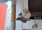 ANIMAL cafe and Bar mofutto: 空翔さんの2026年05月24日の1枚目の投稿写真