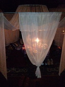 ガルーバ Garuva: ルーさんの2010年04月16日の2枚目の投稿写真