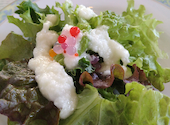 Cafe&Bar Wish カフェ アンド バー ウィッシュ: モモさんの2025年01月14日の3枚目の投稿写真