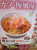 かつや金沢久安店: redbook2jpさんの2009年05月05日の3枚目の投稿写真