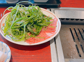 焼肉 たんたたん 武蔵浦和: rokoさんの2026年02月14日の2枚目の投稿写真