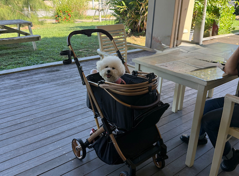 ムーンテラスカフェ: モカさんの2025年09月28日の1枚目の投稿写真