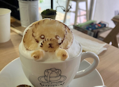 toichipancake トイチパンケーキ: こっこさんの2024年04月21日の1枚目の投稿写真