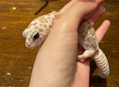 cafe&zoo 月とcafe: ひろみちゃんさんの2026年03月22日の1枚目の投稿写真