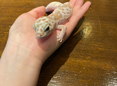 cafe&zoo 月とcafe: ひろみちゃんさんの2026年03月22日の3枚目の投稿写真