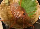 二代目魚匠横衛門北24条店: しのださんの2026年04月29日の1枚目の投稿写真