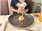 リストランテ リン Ristorante Rin: ジジラムさんの2026年06月27日の1枚目の投稿写真