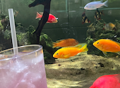AQUA GARDEN KYOTO アクアガーデン 京都: うどんこさんの2026年08月21日の2枚目の投稿写真