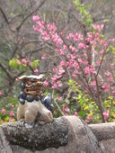 やちむん喫茶シーサー園: yuki-ayaさんの2008年02月27日の2枚目の投稿写真