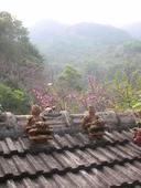 やちむん喫茶シーサー園: yuki-ayaさんの2008年02月27日の3枚目の投稿写真