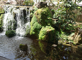 梅の花 岐阜店: プクちゃんさんの2021年03月30日の3枚目の投稿写真