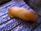 喜作: 退会済みユーザーさんの2014年01月10日の2枚目の投稿写真