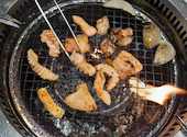 YAKINIKUBUFFET　左近　ららぽーと堺店: トンちゃんさんの2025年12月の1枚目の投稿写真