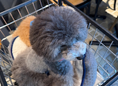 UNO cafe ウノカフェ: reikoさんの2026年04月27日の3枚目の投稿写真