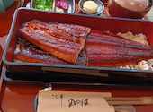うな希" 希々花 ののは 八尾店: のんさんの2026年05月08日の1枚目の投稿写真