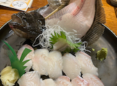 釣船茶屋 ざうお 亀戸駅前店: こんさんの2026年05月30日の2枚目の投稿写真