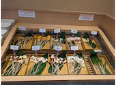 串家物語 テラスモール松戸店: らんらんさんの2023年08月06日の3枚目の投稿写真