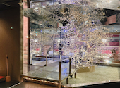 ウメ子の家 新宿東口店: まゆさんの2024年10月15日の1枚目の投稿写真