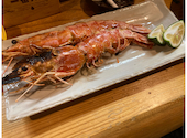 森の隠れ家: ひでさんの2026年08月17日の2枚目の投稿写真