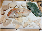 淡路の魚と淡路牛 Cucina otto: かおりさんの2025年11月09日の2枚目の投稿写真