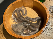 韓国料理ナッチャン 恵比寿店: れいこさんの2026年08月05日の1枚目の投稿写真