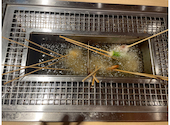 串家物語 梅田HEPナビオ店: Ｓさんの2026年08月09日の2枚目の投稿写真