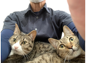 ねこ空間　チャモラ　CYAMOLA: カキちゃんさんの2022年10月の1枚目の投稿写真