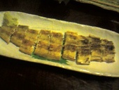 柳橋 こだに: YaWさんの2008年03月10日の1枚目の投稿写真