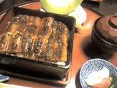 柳橋 こだに: YaWさんの2008年03月10日の3枚目の投稿写真