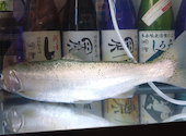 ビワマス料理 山本屋魚濱: ともすけさんの2026年05月16日の1枚目の投稿写真