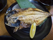 鳥万: miyanさんの2010年03月11日の3枚目の投稿写真